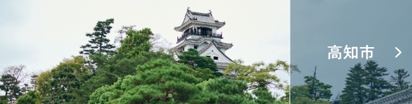 高知市