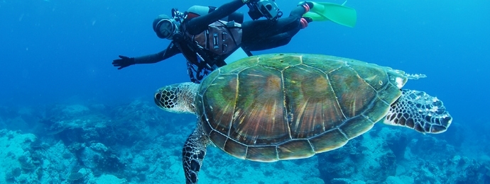 観光スポット！