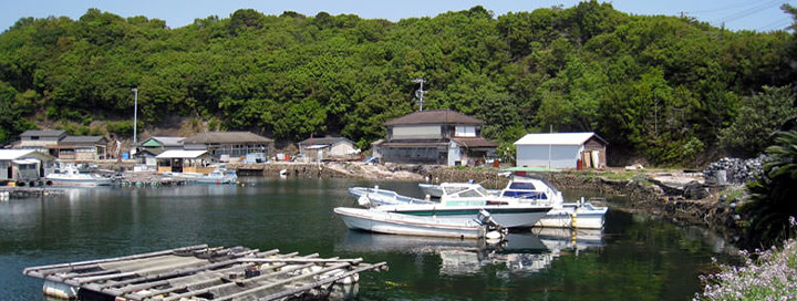 観光スポット！