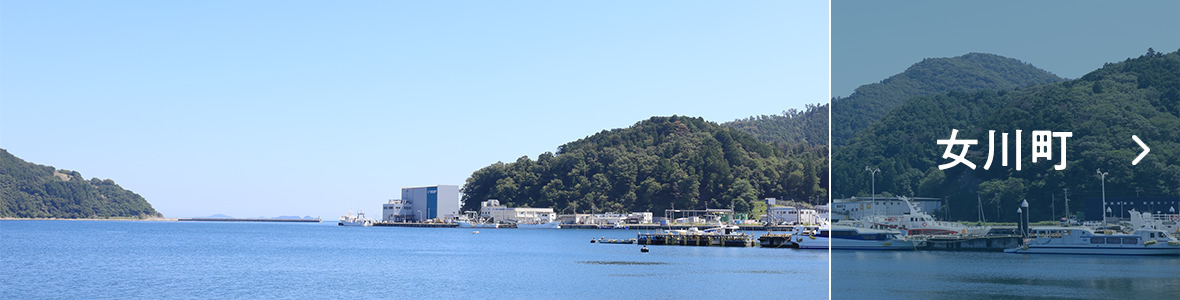 女川町