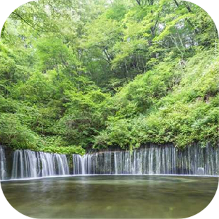 観光スポット！