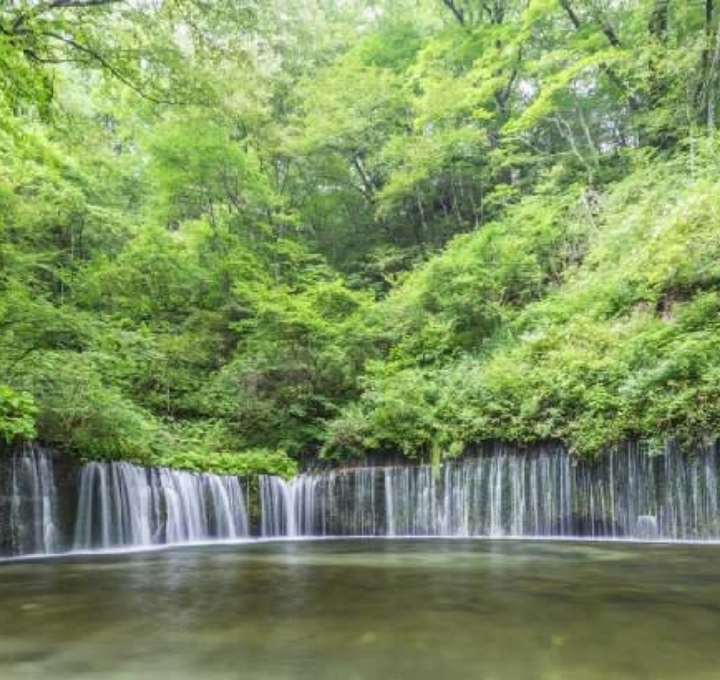 観光スポット！