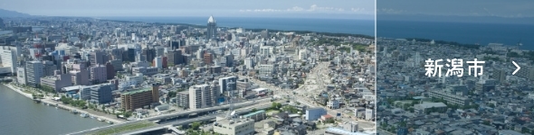 新潟市