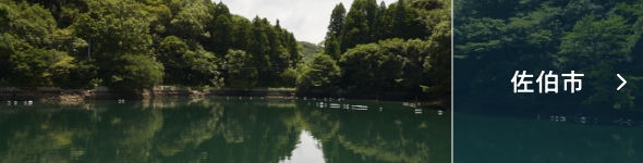 佐伯市