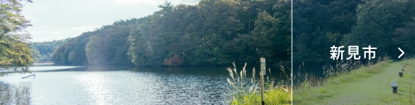 新見市