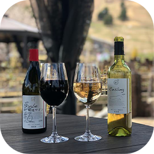 観光スポット！