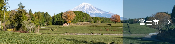 富士市