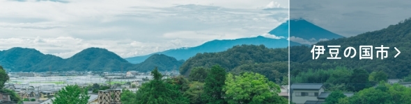 伊豆の国市