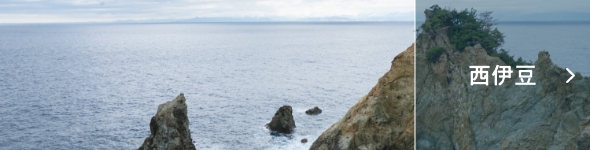 西伊豆