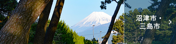 沼津市・三島市