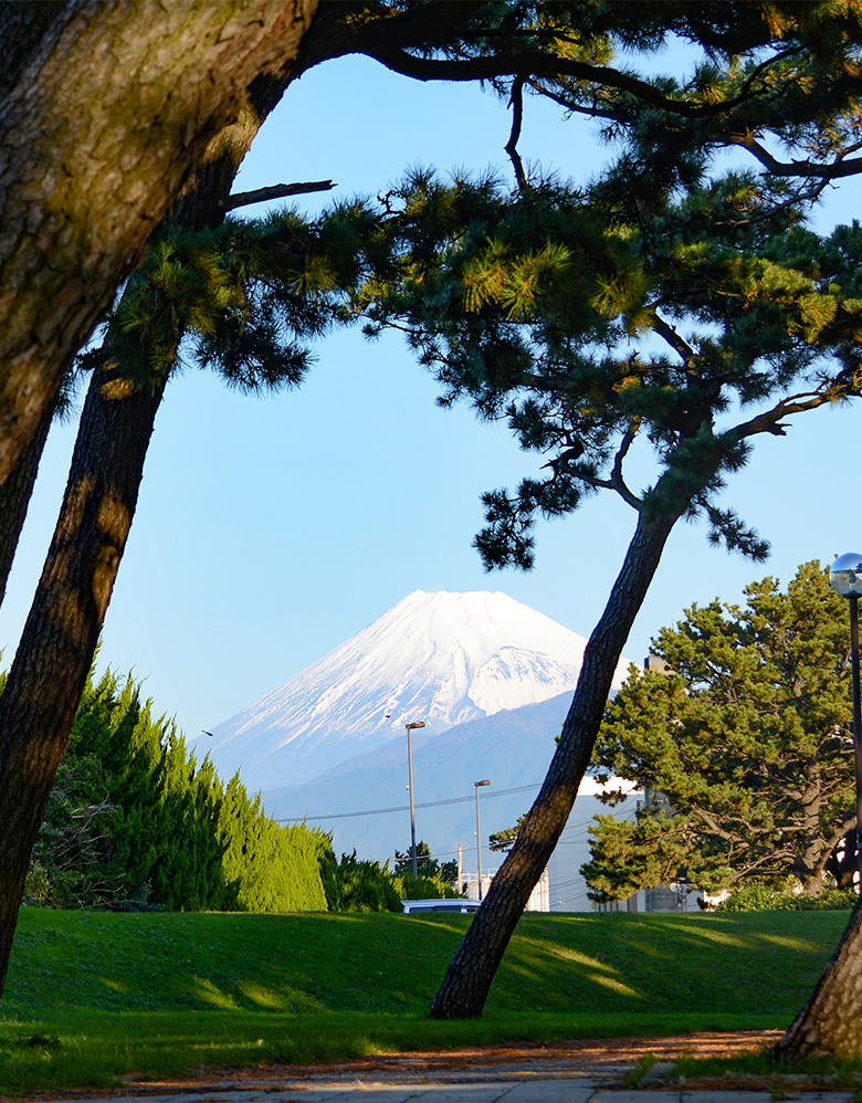沼津市・三島市
