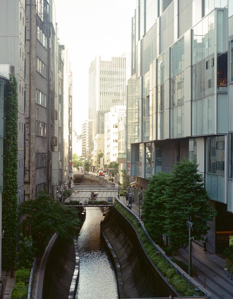 東急東横線沿線