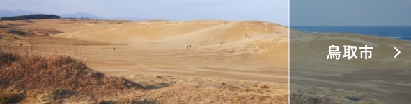 鳥取市