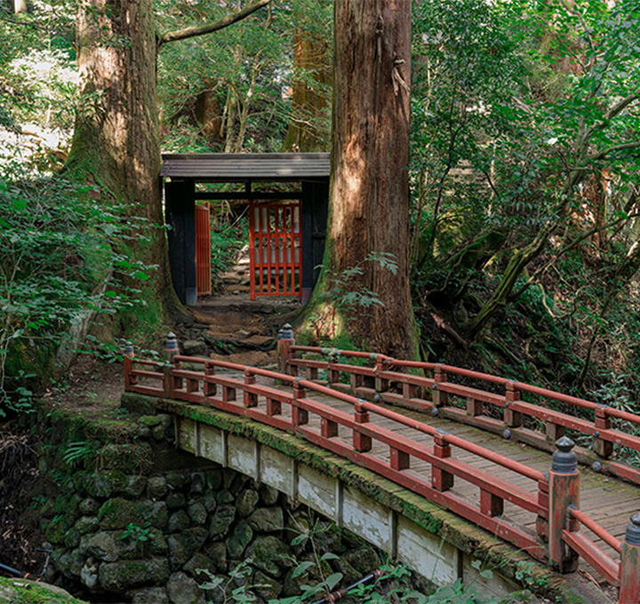 観光スポット！