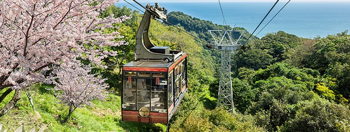 観光スポット！