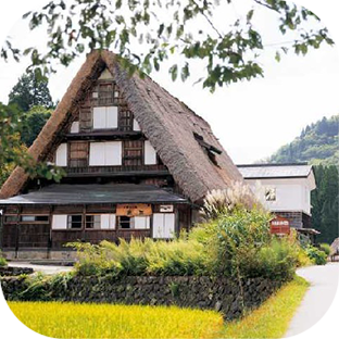 観光スポット！