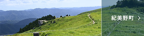 紀美野町