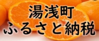 湯浅町ふるさと納税