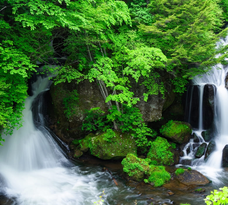 栃木県】日帰りで楽しむ！おすすめの自然・絶景スポット