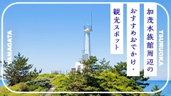 ［2026年最新］加茂水族館周辺のおすすめおでかけ・観光スポット5選