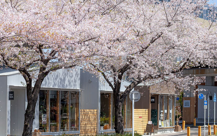 SAKUMACHI商店街