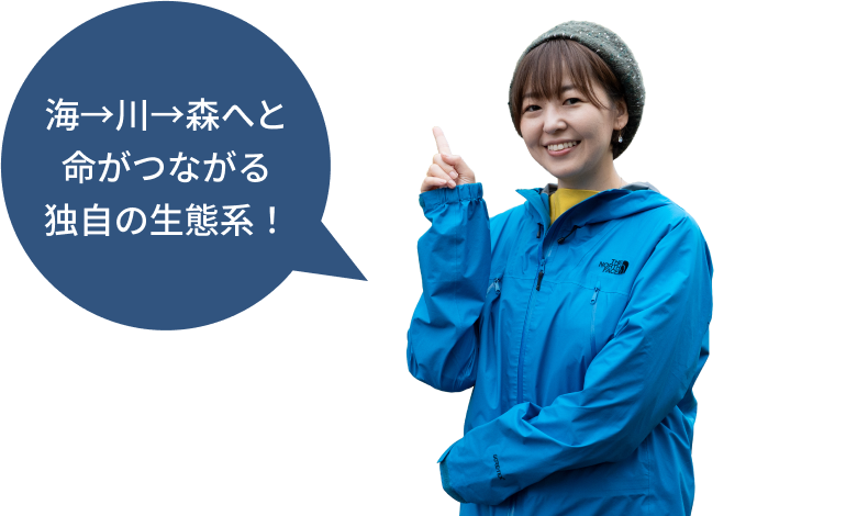 海→川→森へと命がつながる独自の生態系！