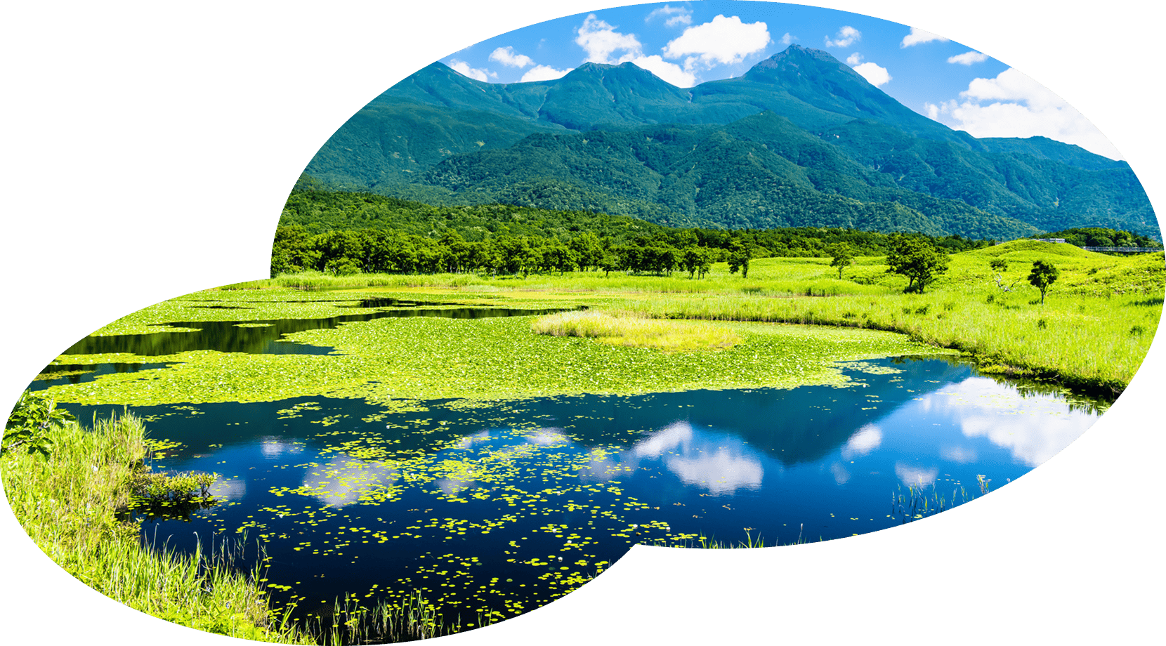 知床五湖の風景