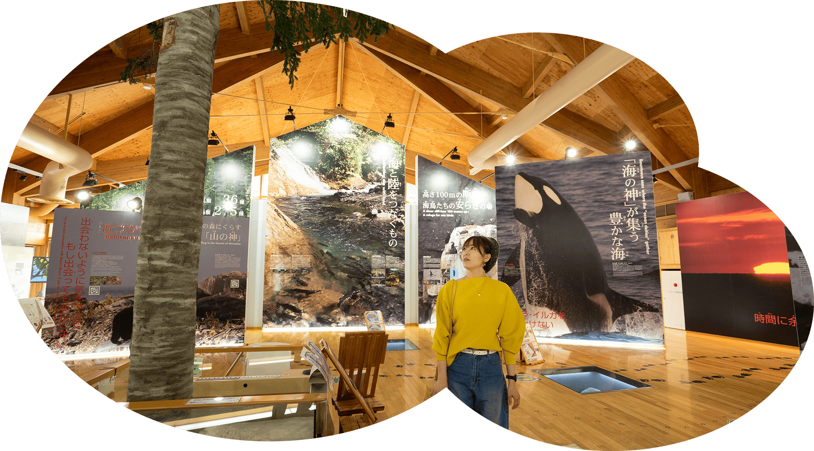 知床世界遺産センター内の写真