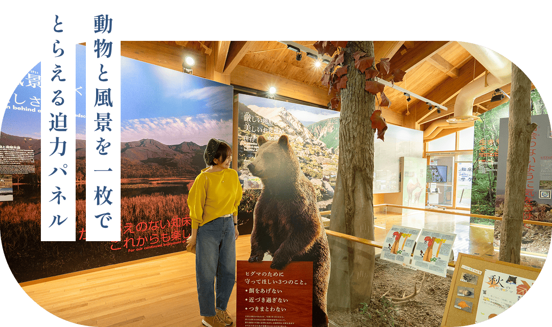 動物と風景を一枚でとらえる迫力パネル