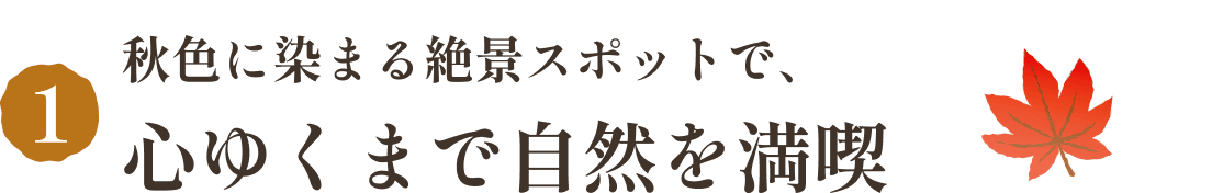 秋色に染まる絶景スポットで、心ゆくまで自然を満喫