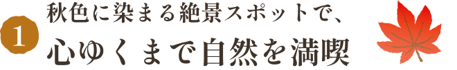秋色に染まる絶景スポットで、心ゆくまで自然を満喫