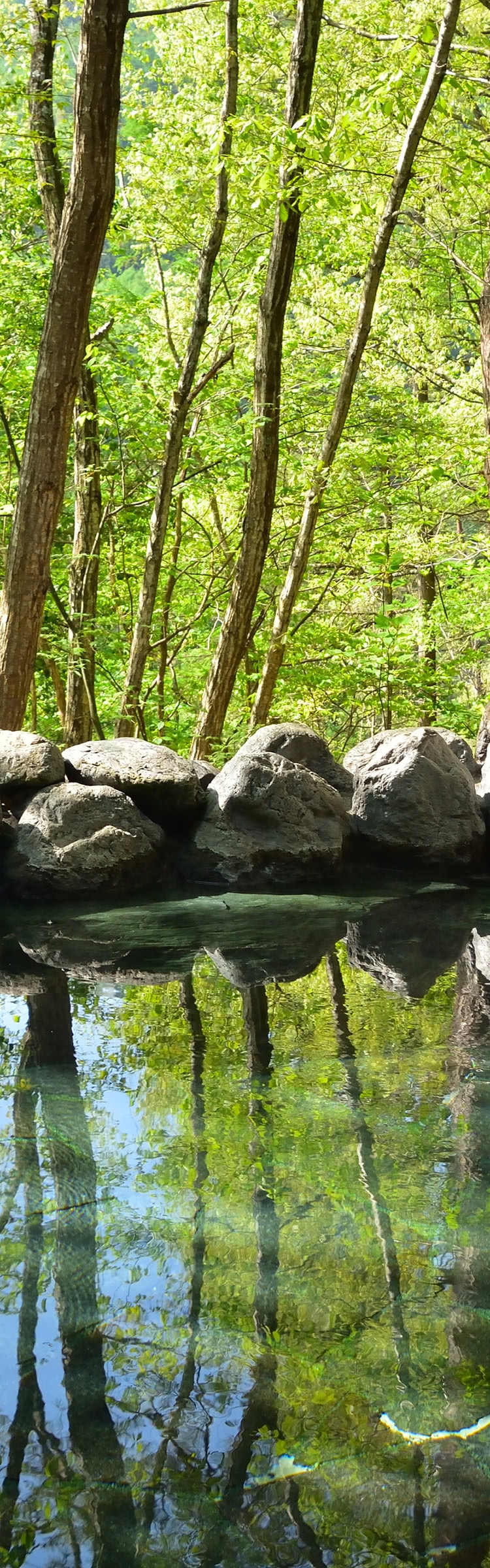 飛騨高山温泉への観光なら【旅色温泉ガイド】旅館・グルメ・観光