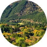 仙石原温泉／伊豆・箱根