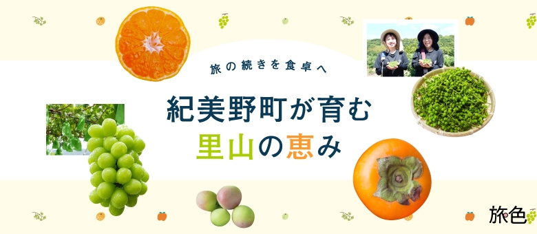 旅の続きを食卓へ 紀美野町が育む里山の恵み