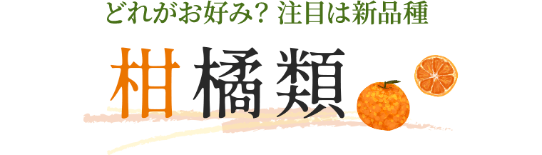 愛媛の味をお取り寄せ みかん 鯛 地酒 菓子 旅色