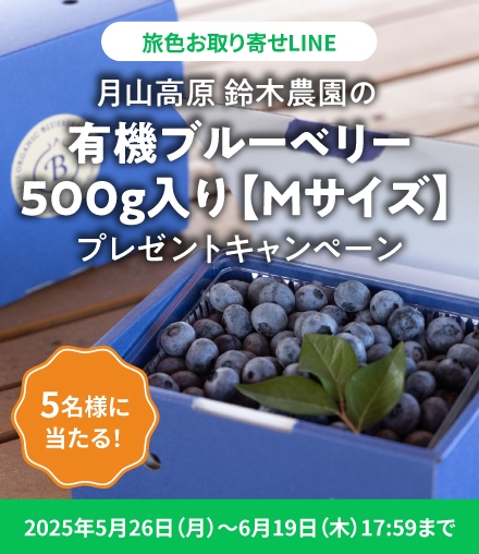 月山高原　鈴木農園の「有機ブルーベリー500g入り【Mサイズ】」プレゼントキャンペーン