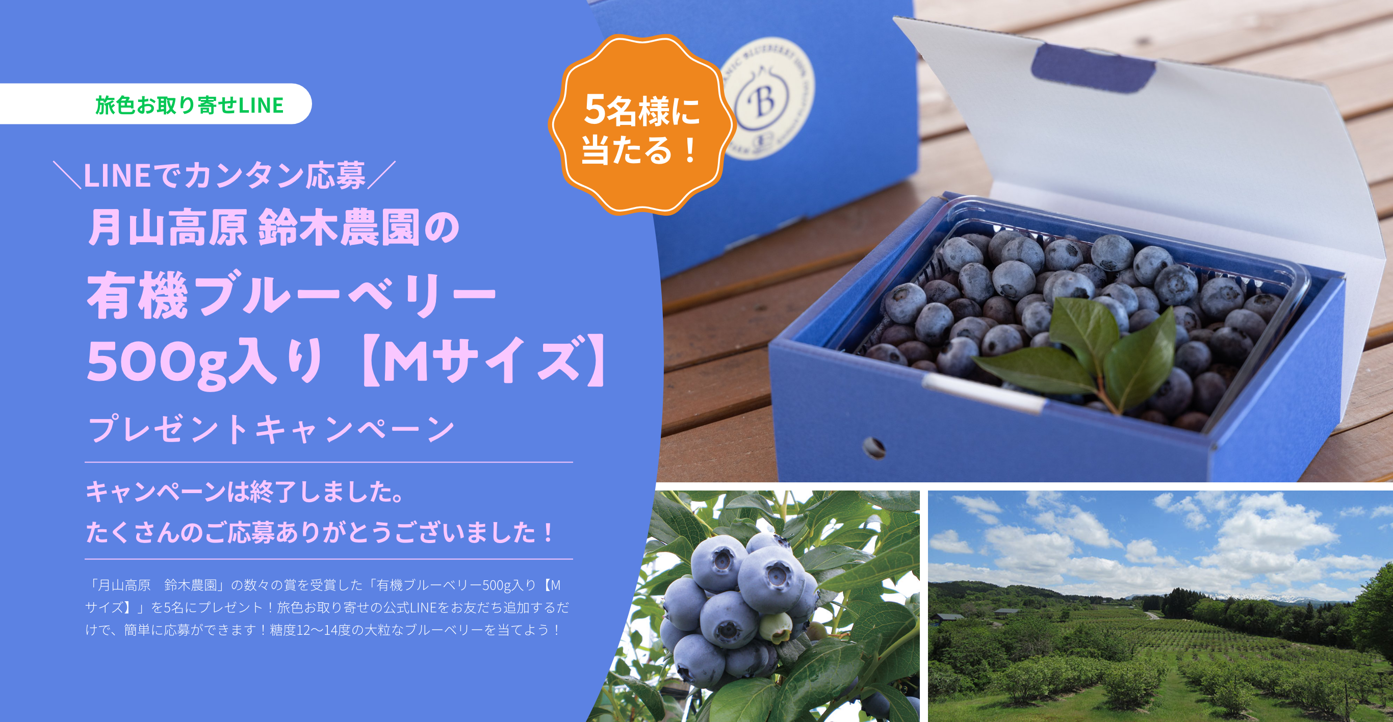 月山高原　鈴木農園の「有機ブルーベリー500g入り【Mサイズ】」プレゼントキャンペーン