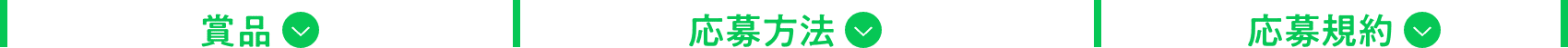 賞品 応募方法 応募規約