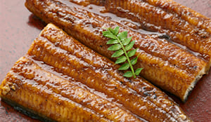 うなぎ蒲焼　110g【バラ売り】