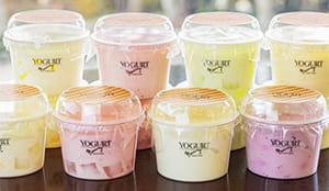 【OYA-8】オンラインショップ限定アソートヨーグルト８種類詰合せ