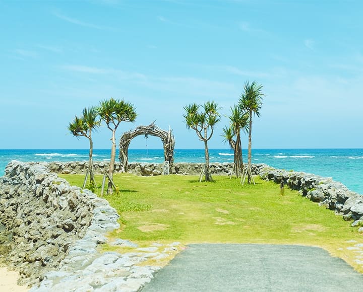 世界自然遺産の町へ、鹿児島県天城町（鹿児島）
