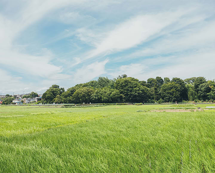 心やすらぐ東京さんぽ、福生・羽村・瑞穂（東京）
