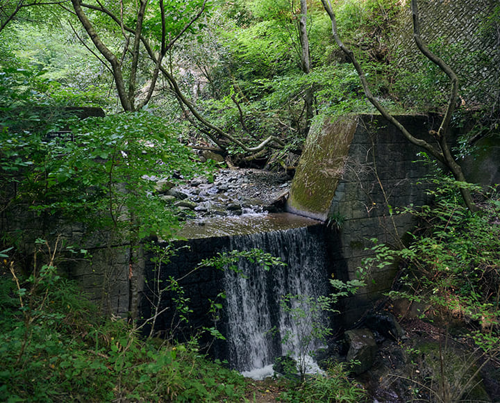 美しい自然と湧き水を訪ねて、秦野市（神奈川）