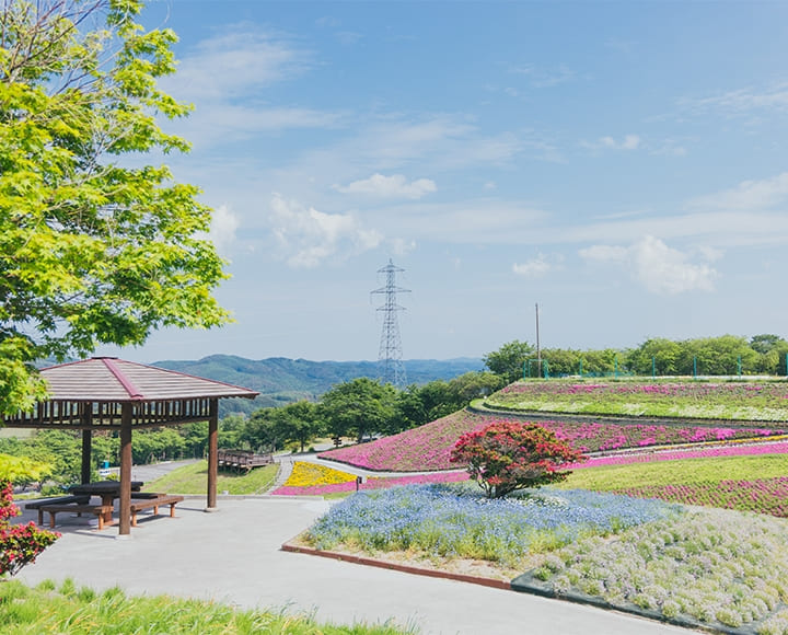 木々と花に癒されるまち、福島県平田村