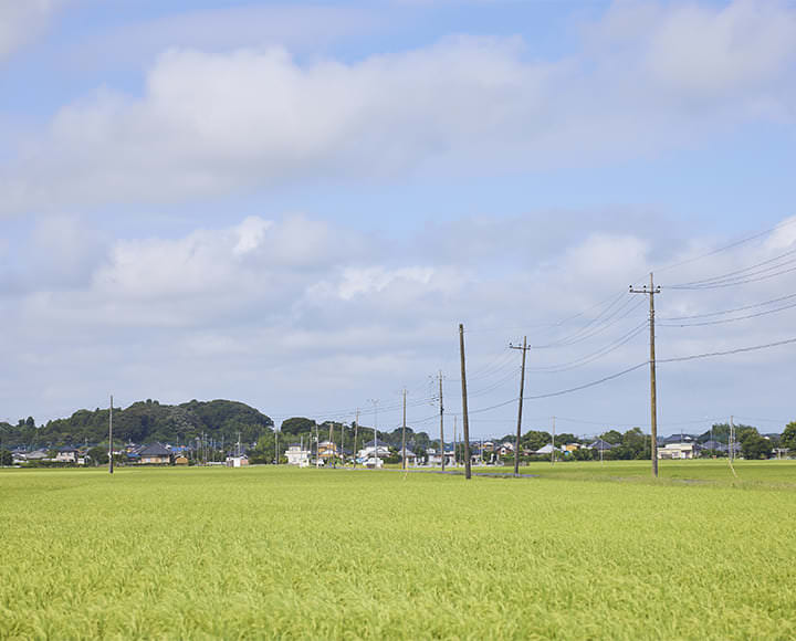 人も自然も心地よい、茨城県稲敷市（茨城）