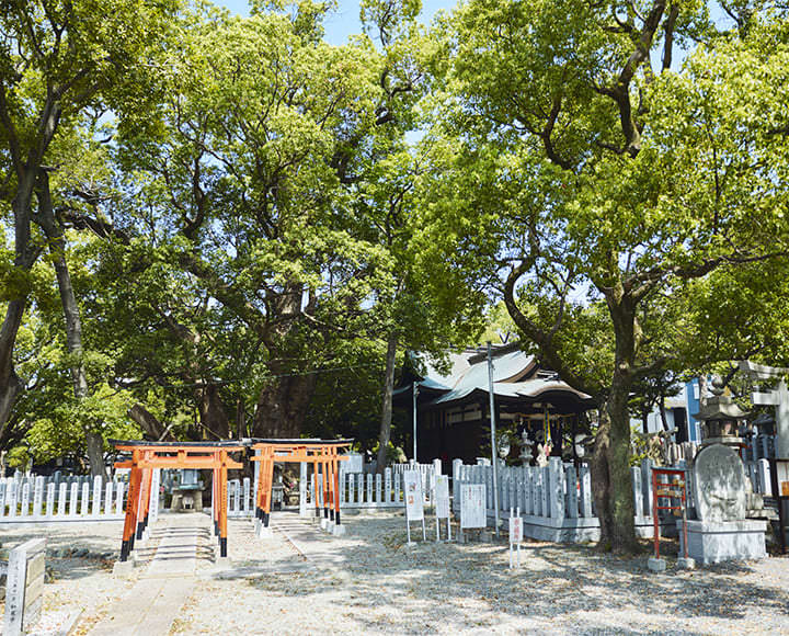 都心近くに自然と歴史が息づく、大阪府和泉市（大阪）