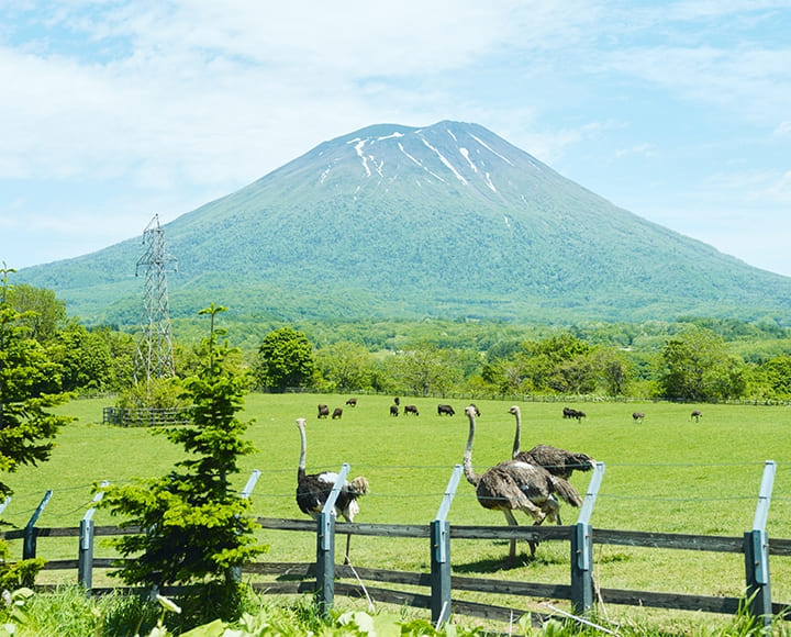 飾らなさにほぐされる、北海道ニセコ町（北海道）