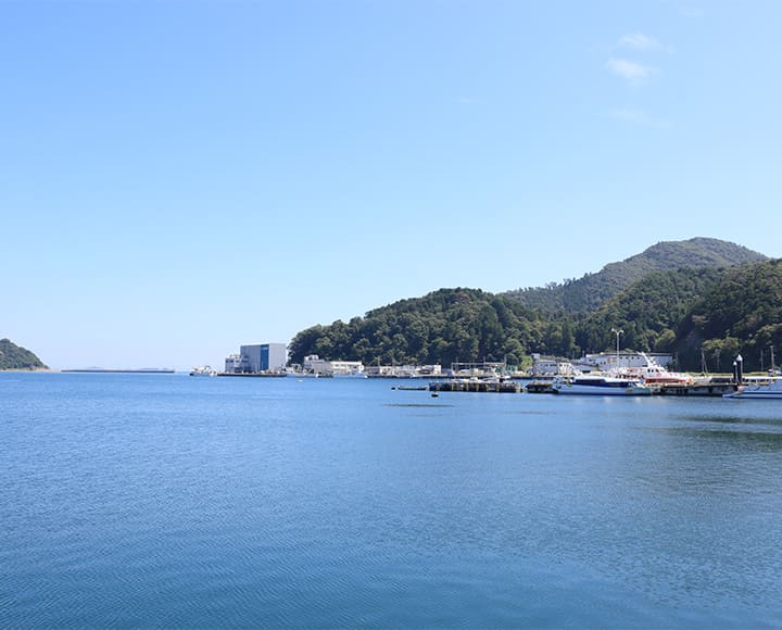  海の恵みと温もりが心地よい港町、宮城県女川町（宮城）