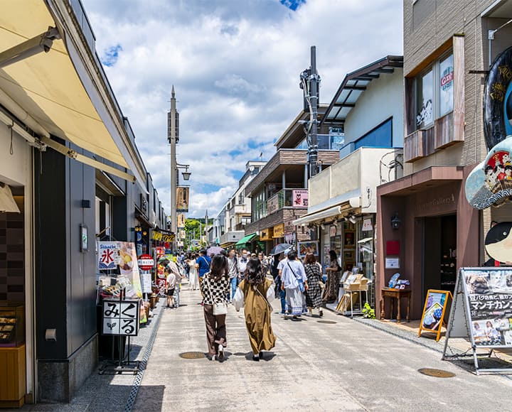 古都の風情と海山が織りなす極上の味、鎌倉市おすすめグルメ（神奈川）