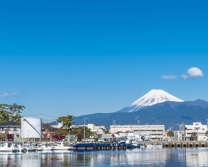 富士の恵みと海の幸を今ここで味わう、三島・沼津おすすめグルメ（静岡）